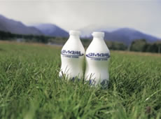 パスチャライズド牛乳72℃15秒殺菌。自前の牛乳工場で製造される、新鮮で環境にやさしいびん牛乳